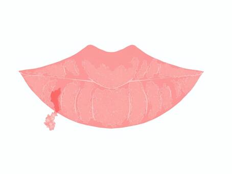 リップの発色にも影響 唇の色が悪い原因とピンク色にする方法 バラエティーブログ